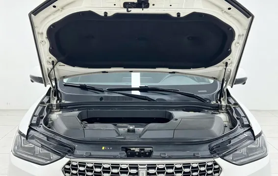 Wey VV6