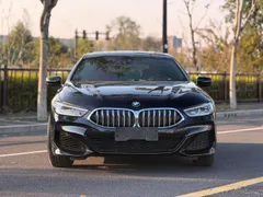 BMW 8-Series
