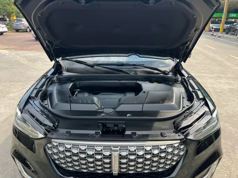 Wey VV6