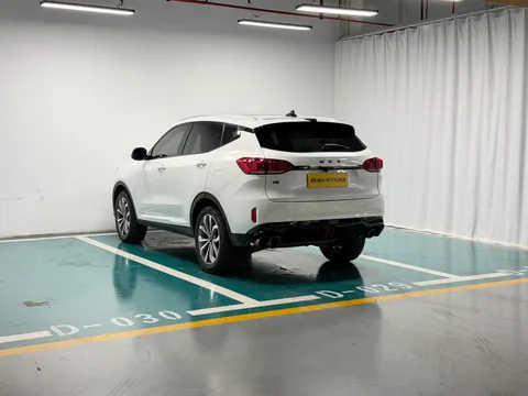 Wey VV6