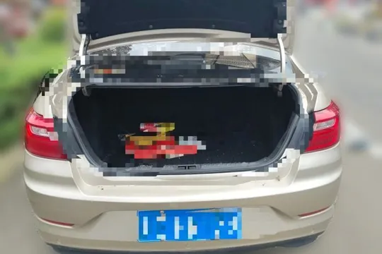 Geely Vision