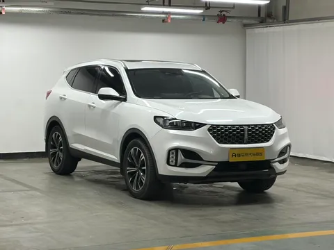Wey VV6