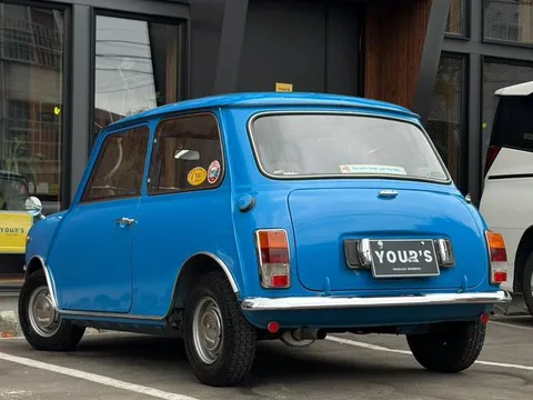 Rover Mini