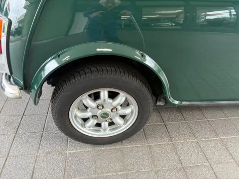 Rover Mini