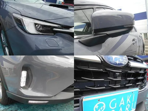 Subaru Levorg Layback