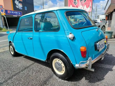 Rover Mini