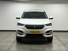 Wey VV6