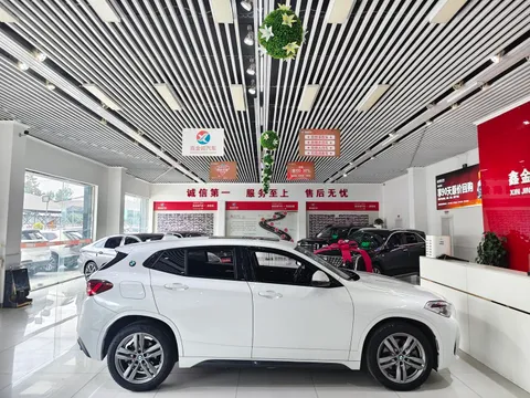 BMW X2