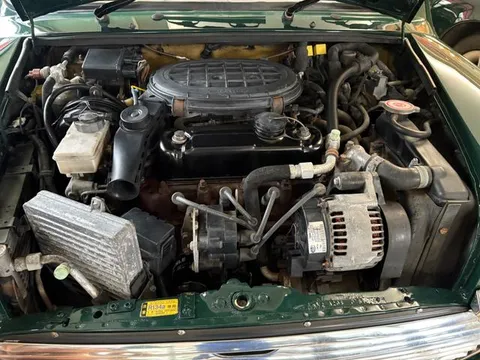 Rover Mini