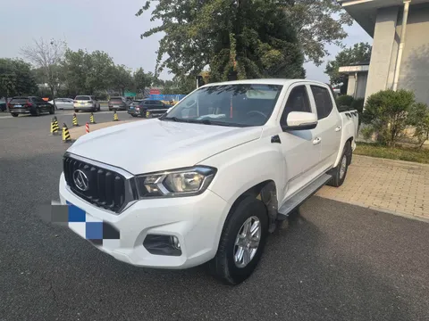 Maxus T60