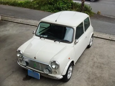 Rover Mini