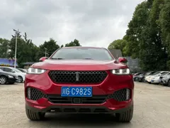 Wey VV7