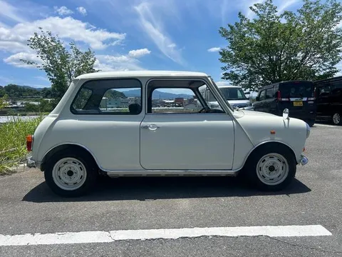 Rover Mini