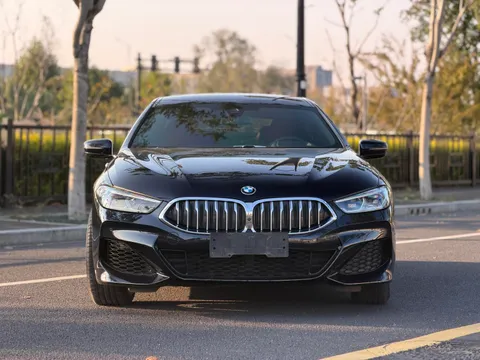 BMW 8-Series