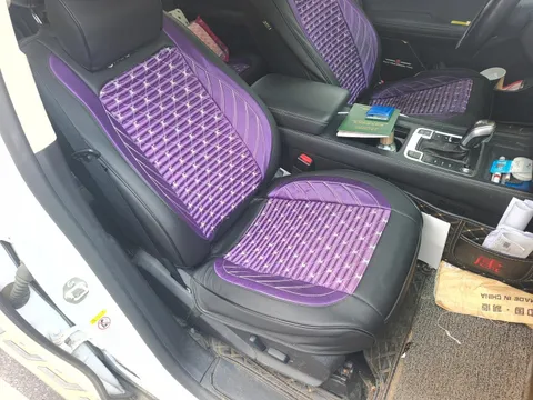 BYD Tang