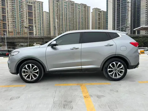 Wey VV6