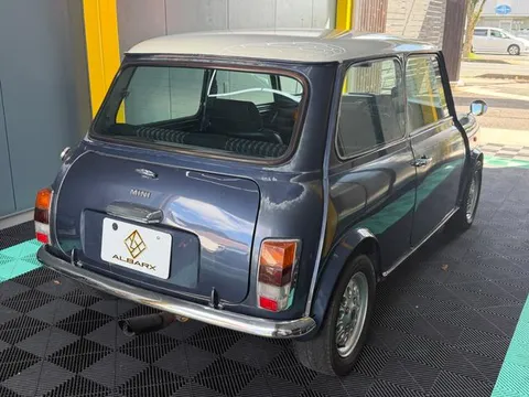 Rover Mini