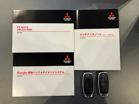 Mitsubishi Delica Mini