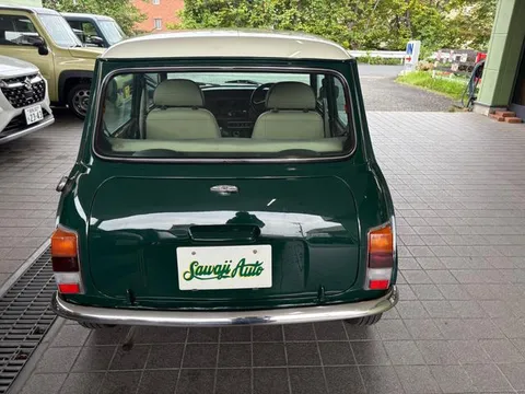 Rover Mini