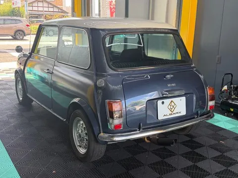 Rover Mini