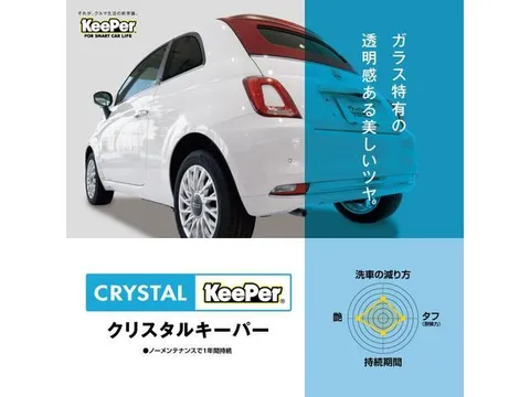 Rover Mini