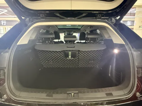 Wey VV6