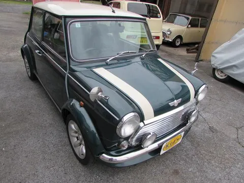 Rover Mini