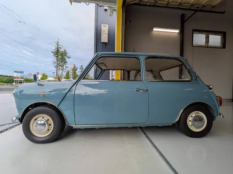 Rover Mini