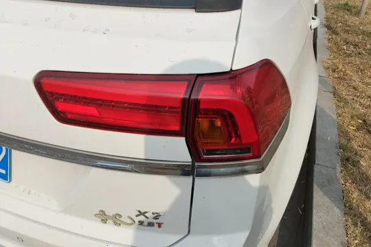 Zotye