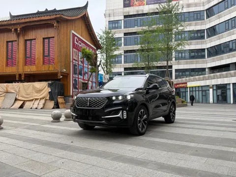Wey VV6