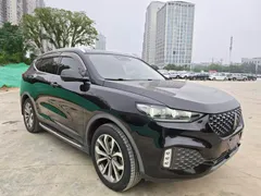 Wey VV6