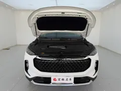 Maxus D60