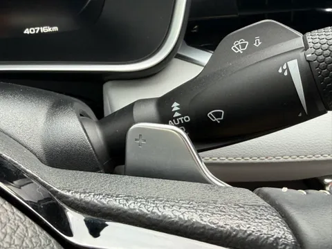 Geely Preface (Xingrui)