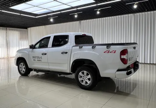 Maxus T60