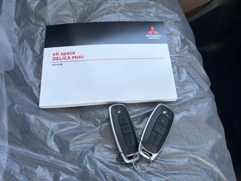 Mitsubishi Delica Mini