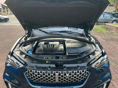 Wey VV7