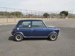 Rover Mini