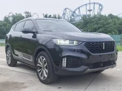 Wey VV6