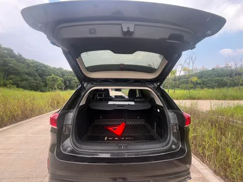 Wey VV6