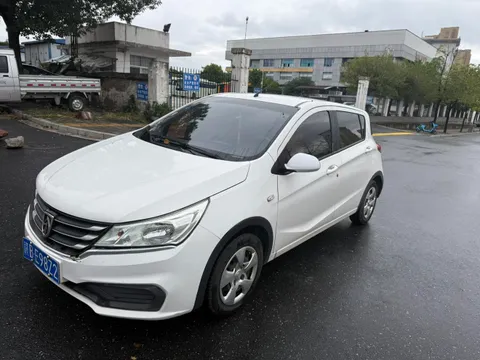 Baojun 310