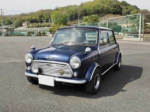 Rover Mini