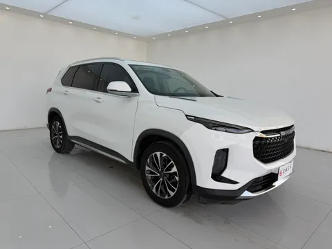 Maxus D60