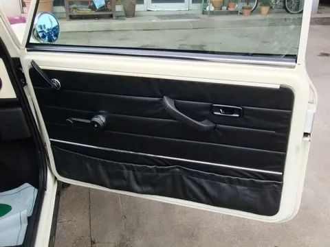 Rover Mini
