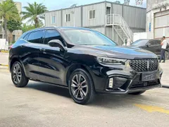 Wey VV5