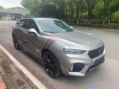 Wey VV7
