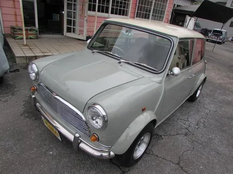 Rover Mini