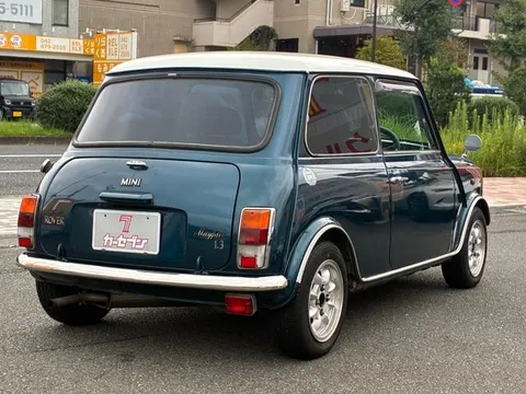 Rover Mini