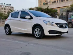 Baojun 310