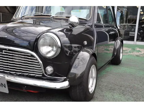 Rover Mini