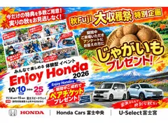 Honda N-WGN Custom
